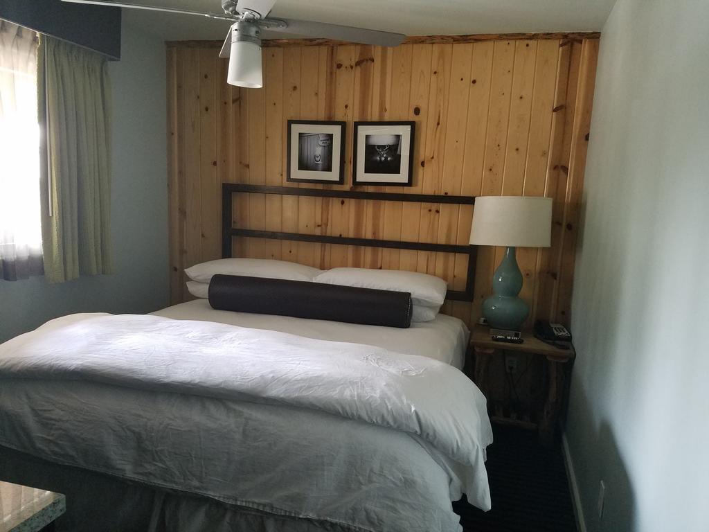 King Suite with Sofa Bed